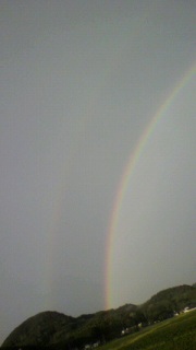 W rainbow