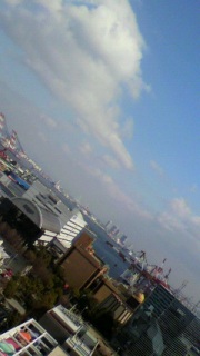 Sunny��