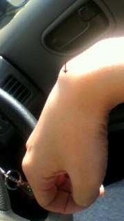 �K���O���I��