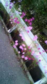 �R�X���X