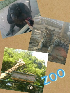 zoo
