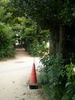 �t�N�M����