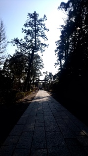 �߉������{