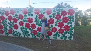 �z�e�����ɉf���ȕ�